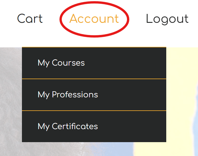 How To - Professional Development Resources
